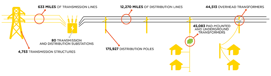 Transmission and Distribution Structure; 633 Miles of Transmission Lines; 12,270 Miles of Distribution Lines; 44,513 Overhead Transformers; 4,753 Transmission Structures; 80 Transmissions and Distribution Substations; 175,927 Distribution Poles; 45,083 Pad-mounted and Underground Transformers