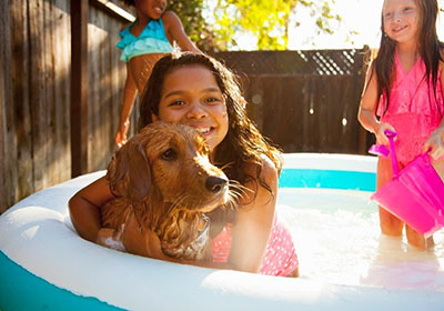 Girls in pool with dog