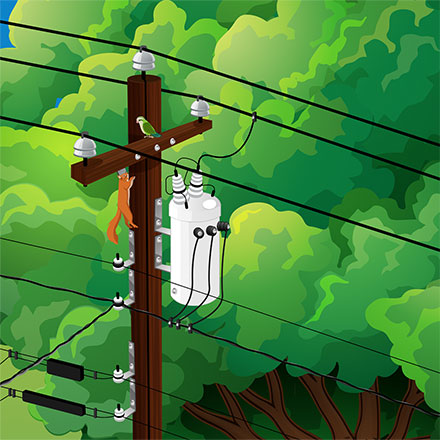 small mammals near poles