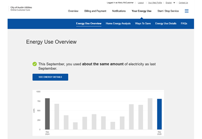 Example of City of Austin Utilities Energy Use Infographic