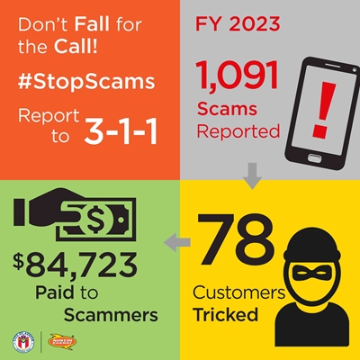 Infographic for utility scam awareness day